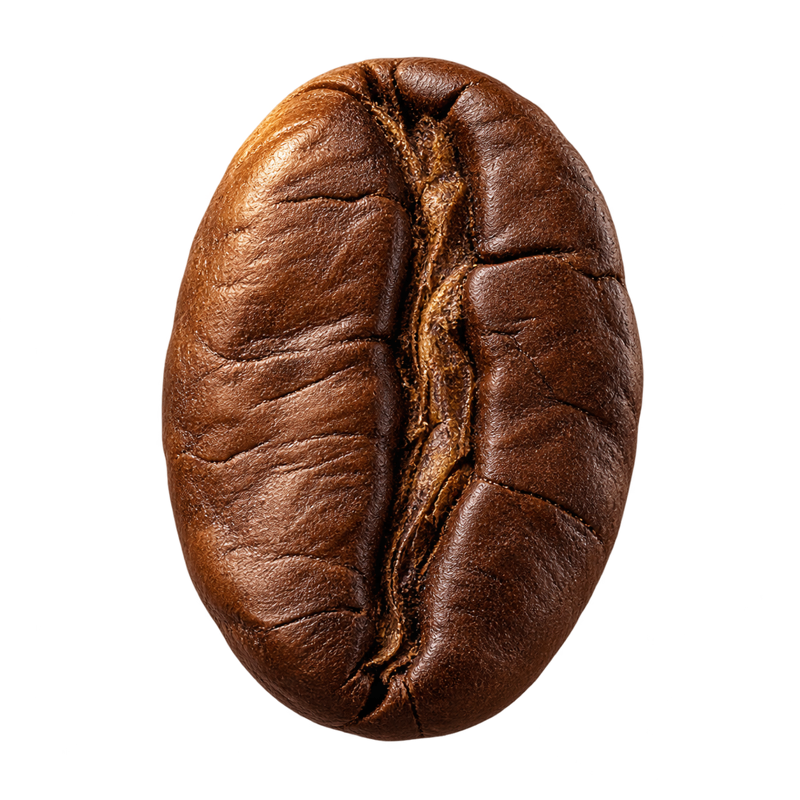 Grão de café torrado, com textura natural e tons de caramelo